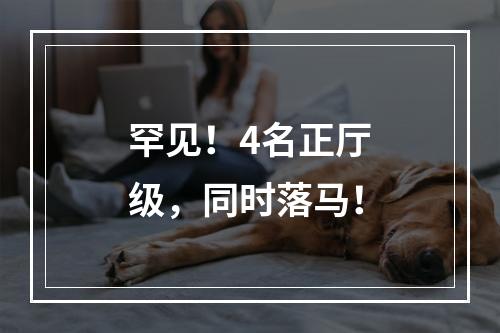 罕见！4名正厅级，同时落马！