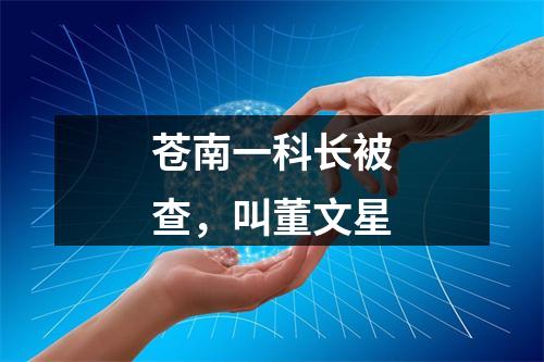 苍南一科长被查，叫董文星