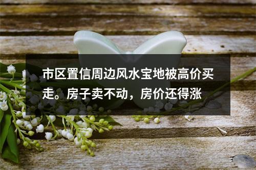 市区置信周边风水宝地被高价买走。房子卖不动，房价还得涨