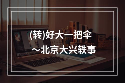 (转)好大一把伞 ～北京大兴轶事
