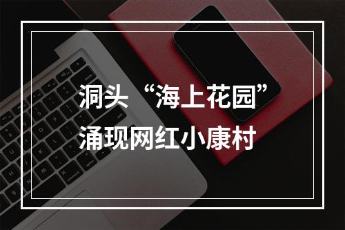 洞头“海上花园”涌现网红小康村