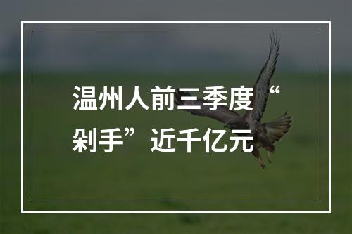 温州人前三季度“剁手”近千亿元
