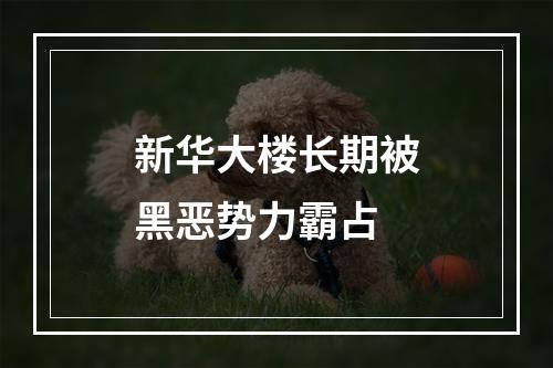 新华大楼长期被黑恶势力霸占