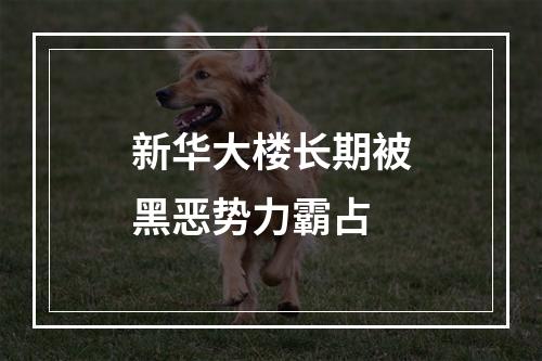 新华大楼长期被黑恶势力霸占