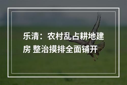 乐清：农村乱占耕地建房 整治摸排全面铺开