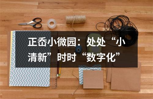 正岙小微园：处处“小清新”时时“数字化”