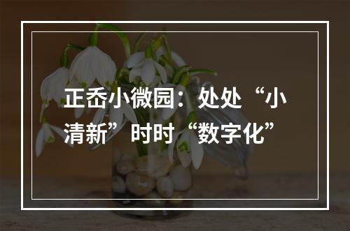 正岙小微园：处处“小清新”时时“数字化”