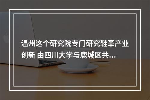 温州这个研究院专门研究鞋革产业创新 由四川大学与鹿城区共建
