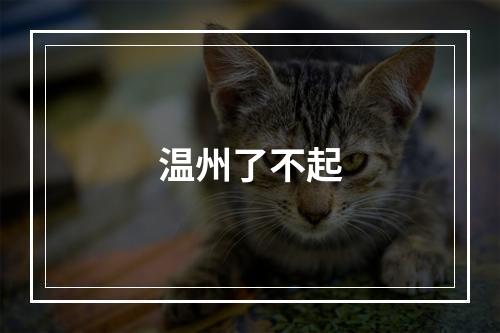 温州了不起
