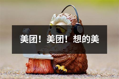 美团！美团！想的美