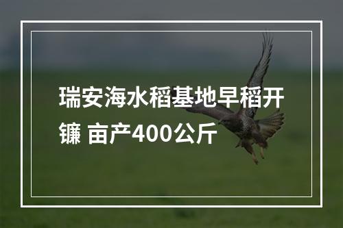 瑞安海水稻基地早稻开镰 亩产400公斤