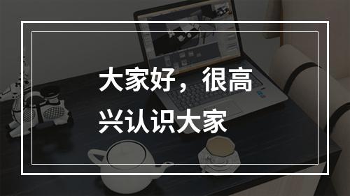 大家好，很高兴认识大家