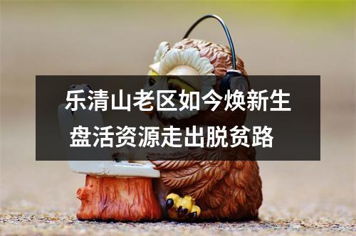 乐清山老区如今焕新生 盘活资源走出脱贫路