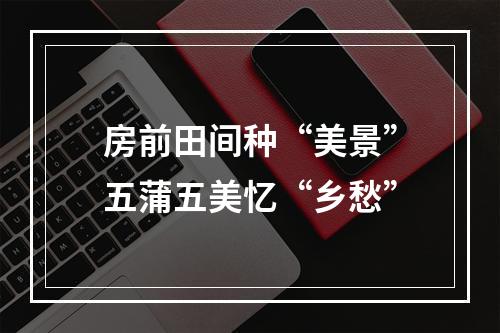 房前田间种“美景”五蒲五美忆“乡愁”