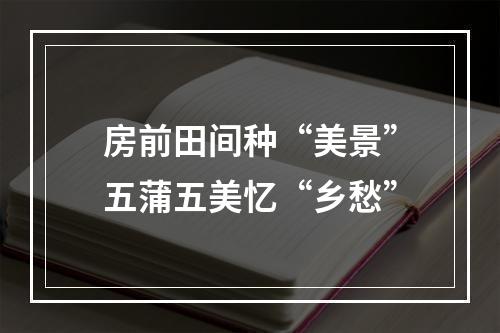 房前田间种“美景”五蒲五美忆“乡愁”
