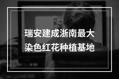 瑞安建成浙南最大染色红花种植基地