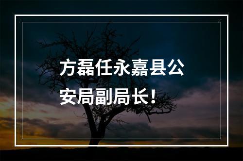 方磊任永嘉县公安局副局长！