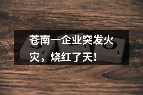 苍南一企业突发火灾，烧红了天！