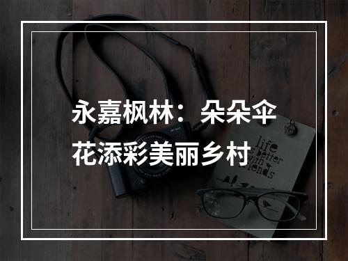 永嘉枫林：朵朵伞花添彩美丽乡村
