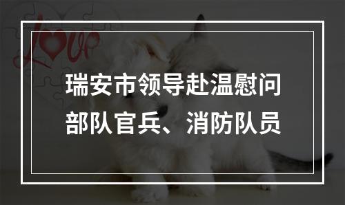瑞安市领导赴温慰问部队官兵、消防队员