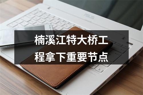 楠溪江特大桥工程拿下重要节点