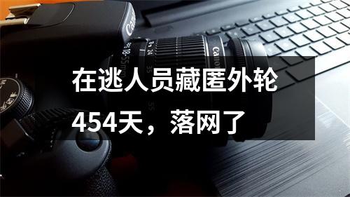 在逃人员藏匿外轮454天，落网了