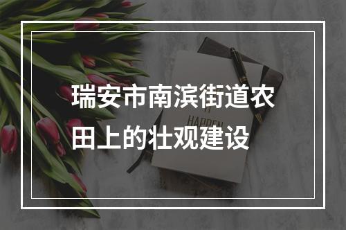 瑞安市南滨街道农田上的壮观建设