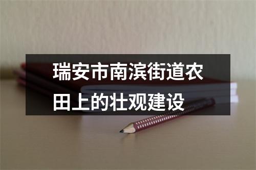 瑞安市南滨街道农田上的壮观建设