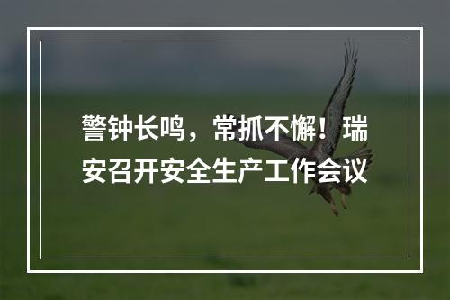 警钟长鸣，常抓不懈！瑞安召开安全生产工作会议