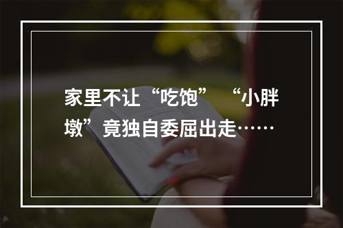 家里不让“吃饱” “小胖墩”竟独自委屈出走……