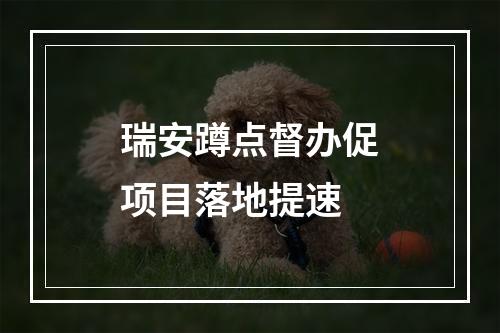 瑞安蹲点督办促项目落地提速