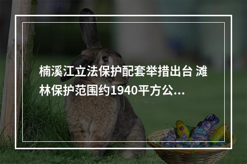 楠溪江立法保护配套举措出台 滩林保护范围约1940平方公里