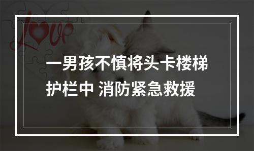 一男孩不慎将头卡楼梯护栏中 消防紧急救援