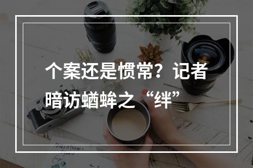 个案还是惯常？记者暗访蝤蛑之“绊”