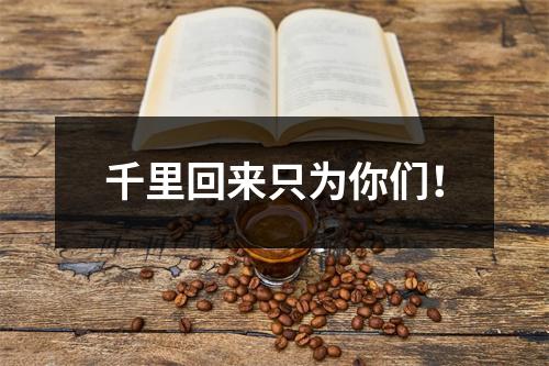 千里回来只为你们！