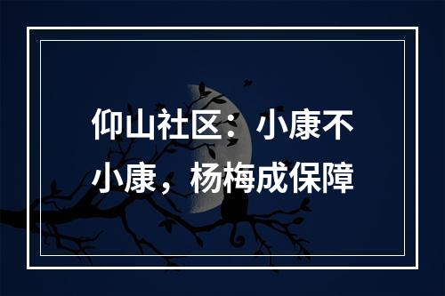 仰山社区：小康不小康，杨梅成保障