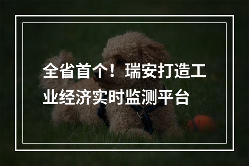 全省首个！瑞安打造工业经济实时监测平台