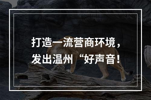 打造一流营商环境，发出温州“好声音！