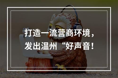 打造一流营商环境，发出温州“好声音！