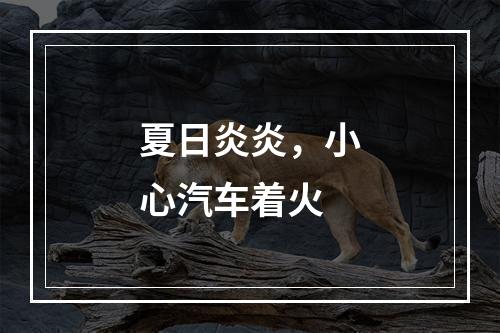 夏日炎炎，小心汽车着火