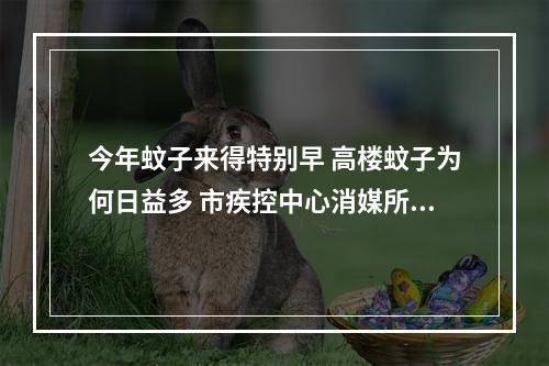 今年蚊子来得特别早 高楼蚊子为何日益多 市疾控中心消媒所专家这样说