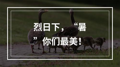 烈日下，“暑”你们最美！