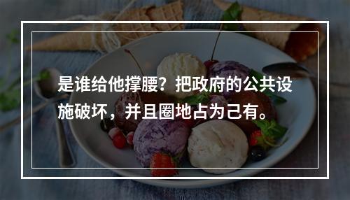 是谁给他撑腰？把政府的公共设施破坏，并且圈地占为己有。