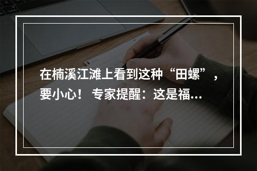 在楠溪江滩上看到这种“田螺”，要小心！ 专家提醒：这是福寿螺，切记勿捞勿食