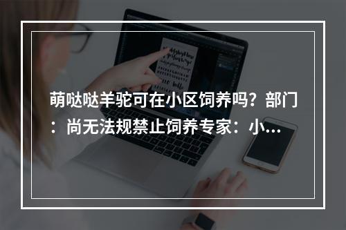 萌哒哒羊驼可在小区饲养吗？部门：尚无法规禁止饲养专家：小区环境不适合饲 ...