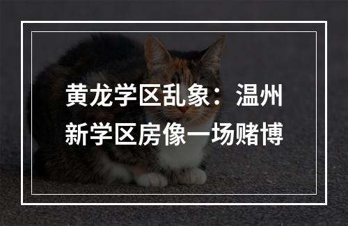 黄龙学区乱象：温州新学区房像一场赌博
