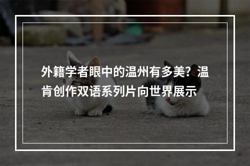 外籍学者眼中的温州有多美？温肯创作双语系列片向世界展示