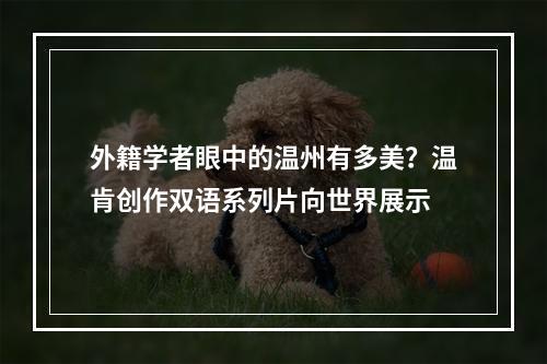 外籍学者眼中的温州有多美？温肯创作双语系列片向世界展示