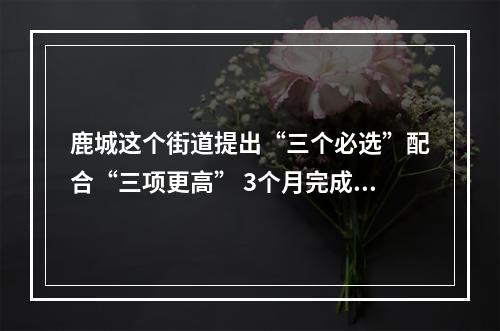 鹿城这个街道提出“三个必选”配合“三项更高” 3个月完成2个垃圾分类示范小区创建