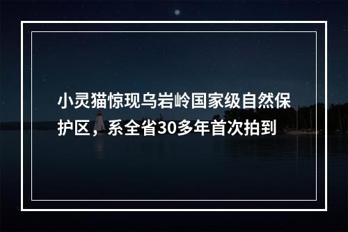小灵猫惊现乌岩岭国家级自然保护区，系全省30多年首次拍到